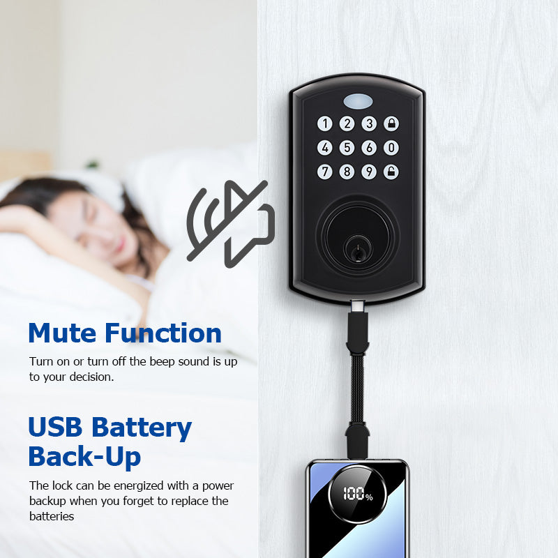 A01——Tuya SmartLife APP Smart Lock