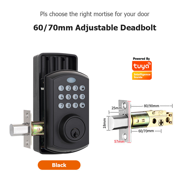 A01——Tuya SmartLife APP Smart Lock