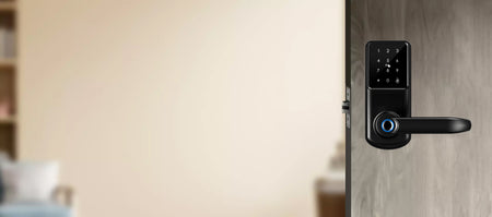 Comparing Traditional Door Locks with Smart Door Locks | Tropernic lock