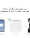 Tuya App Electronic Fingerprint Smart Door Lock, Smart Cylinder Lock With Keypad / Manual Key Unlock,Biometric Digital Door Lock for Home Apartment