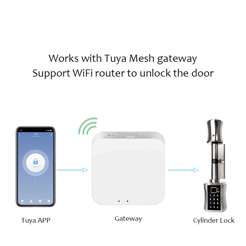 Tuya App Electronic Fingerprint Smart Door Lock, Smart Cylinder Lock With Keypad / Manual Key Unlock,Biometric Digital Door Lock for Home Apartment