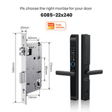 Tropernic D01 Tuya WiFi Smart Lock