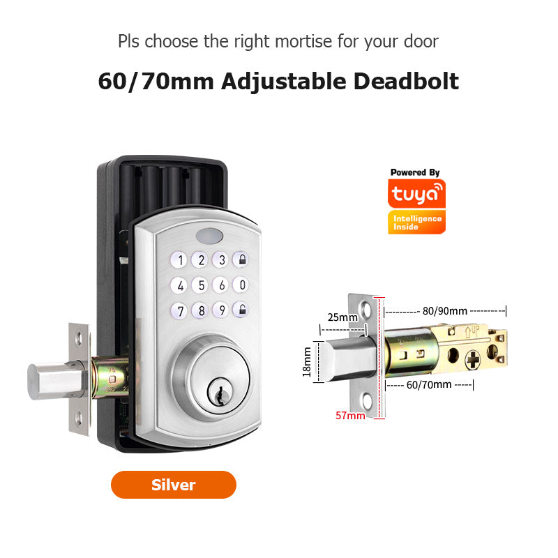 A01——Tuya SmartLife APP Smart Lock